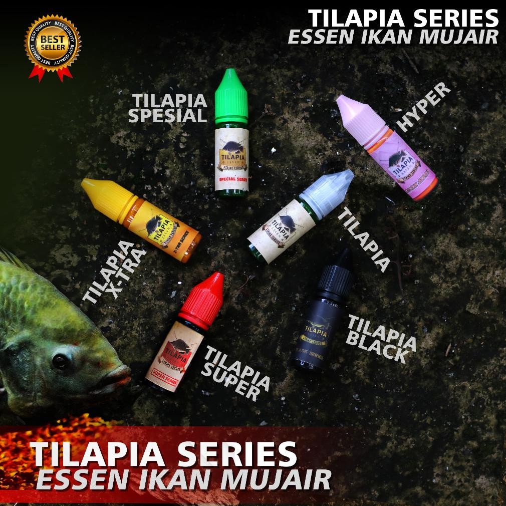 ORIGINAL TILAPIA ESSEN IKAN NILA IKAN MUJAER IKAN MUJAIR LUMUT LUKUT Nugi