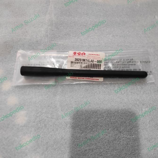 antena ignis asli sgp