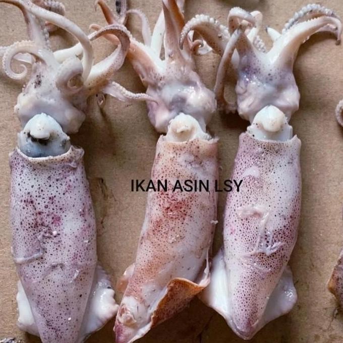 

Cumi Asin Rebus / Sotong Rebus Size Jumbo 1Kg #Gratisongkir