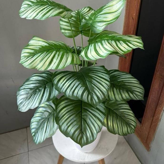 Asli Tanaman Hias Palsu Sudah Termasuk Pot Dekorasi Rumah Plastik Aesthetic