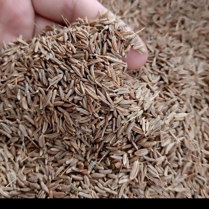 

(:(:(:(] CUMIN SEEDS / JEERA / JINTAN WANGI INDIA 1 KG