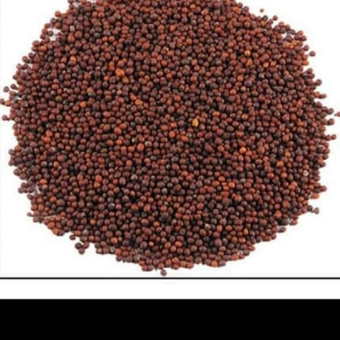 

$$$$] black mustard seed/ Biji sawi import 1 kg