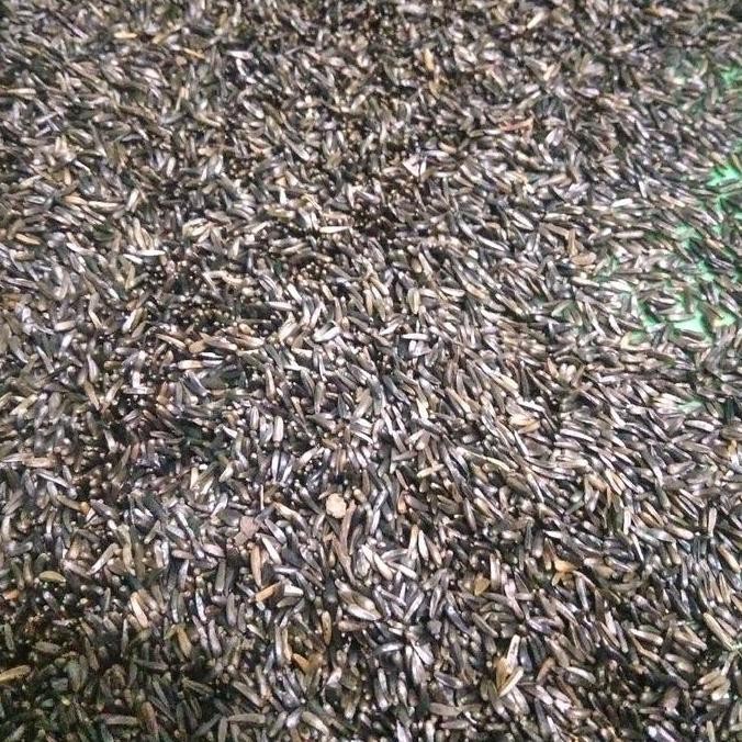 

ready Niger Seed 3MAX ( Biji Niger ) 500 gr