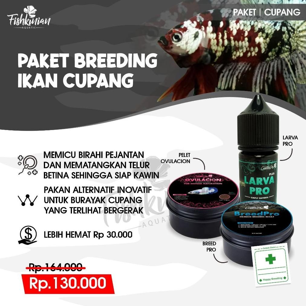 Fishkinian | Paket Breeding Ternak - Untuk Ikan Cupang