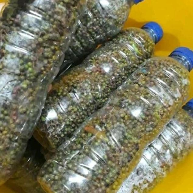 

ANDALIMAN Rempah Pedas 250 gram