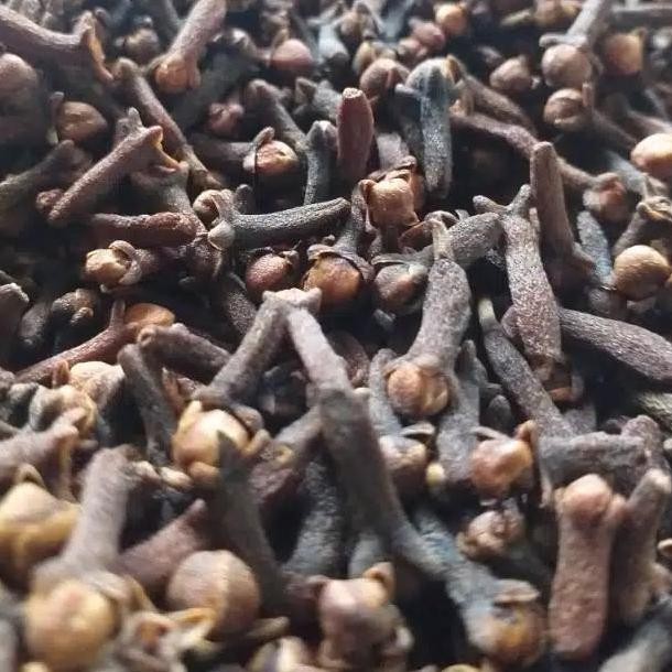 

Cengkeh / Cloves / Rempah / JSR