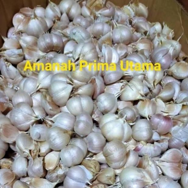 

Original Bawang Putih Kating 1kg - Siap Masak, Segar, dan Harum