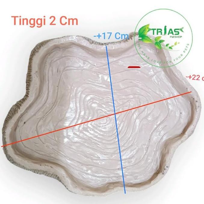 Feeding Dish/Water Dish Jumbo/Tempat Makan Reptil/Tempat Makan Kura-Kura/Tempat Makan Sulcata/Tempat