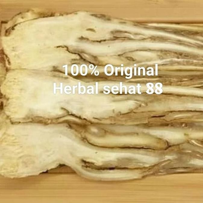 

JB TANG KUI TAU PIAN DANG GUI PIAN 100GR HERBAL ALAMI untuk kesehatan None