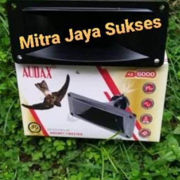 Audax Ax 6000 Tweeter Walet Magnet Neodymium