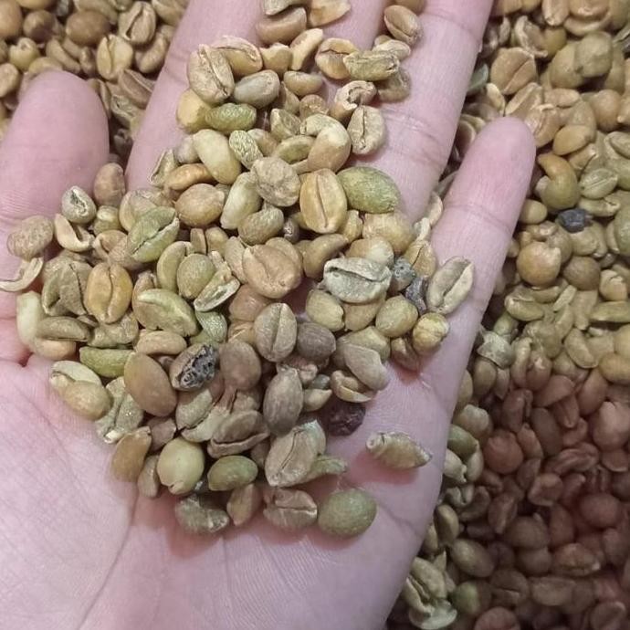 

Biji Kopi Excelsa 1Kg Kualitas Terbaik Harga Termurah