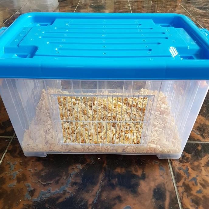 Kontainer Box Modif Akrilik Kandang Hamster Landak Mini Reptil