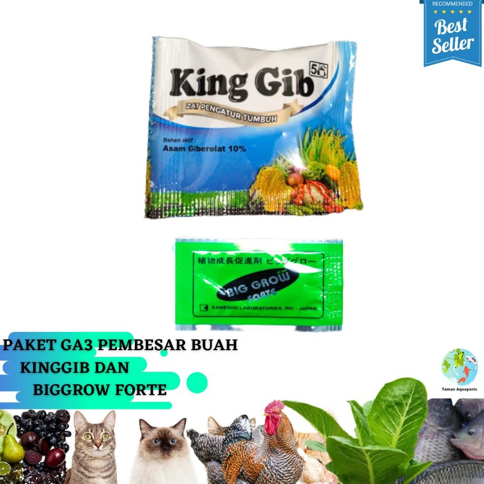 Paket GA3 King Gib dan BigGrow Forte Pembesar Buah Nugi