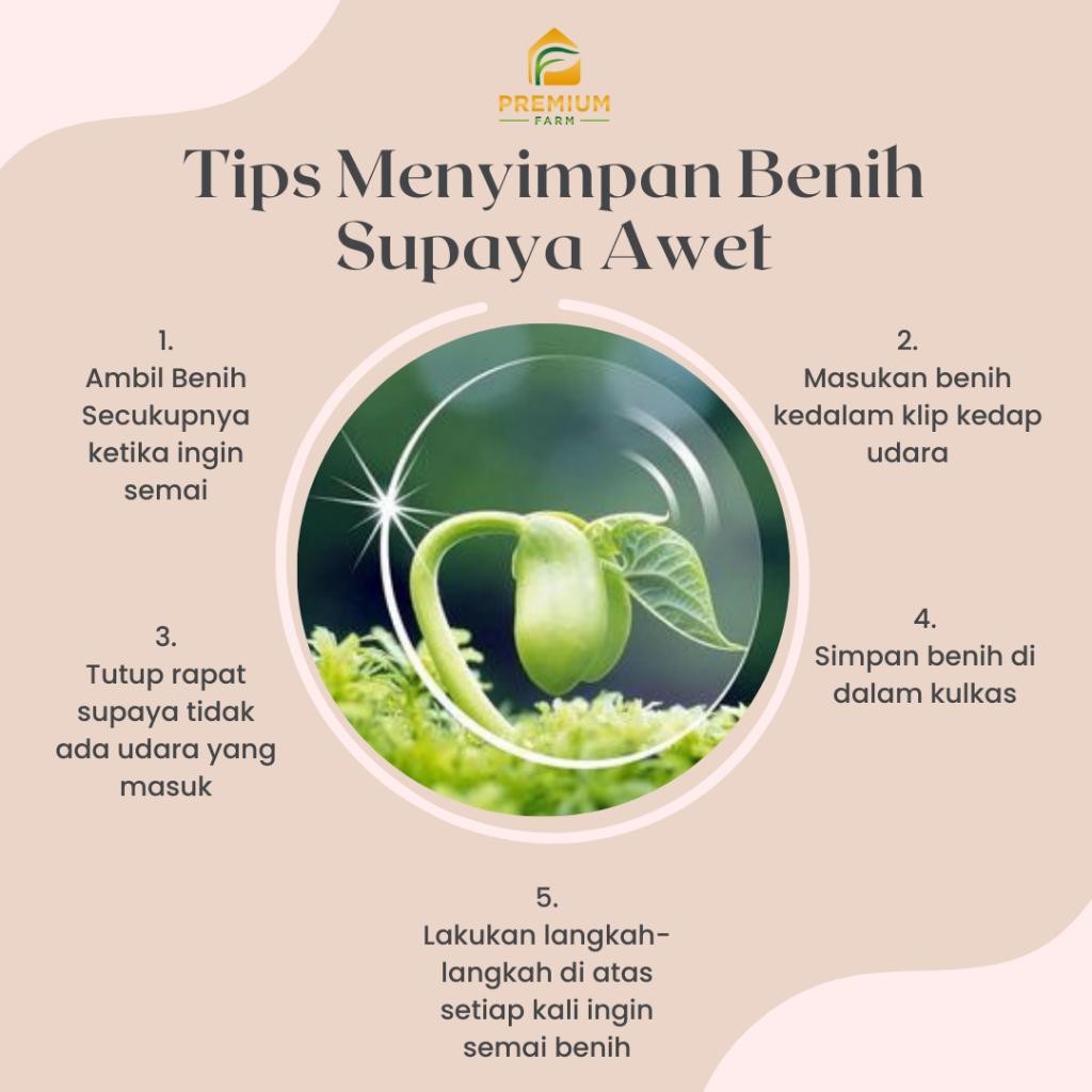 

Benih Bibit Biji Kembang Kol Premium Seed