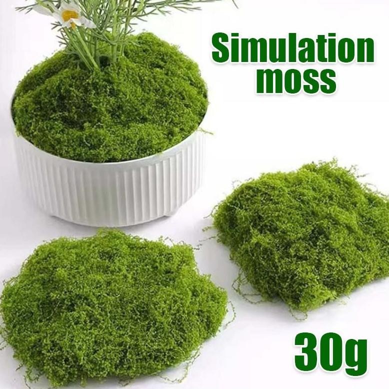 Artificial Moss Moss Sintetis Moss Artificial Sintetis Premium Murah Lumut Abadi Dekorasi Mossekoras