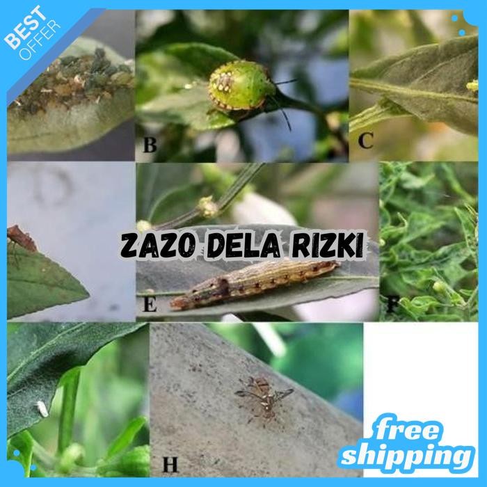 TOPDOR 10WP 100 GRAM - INSEKTISIDA SISTEMIK PESTISIDA SERANGGA TANAMAN BY ZAZODELARIZKI