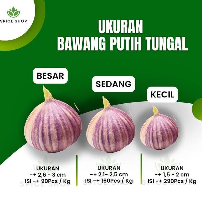 

Diskon! Bawang Putih Tunggal Lanang Import Super Premium Alami