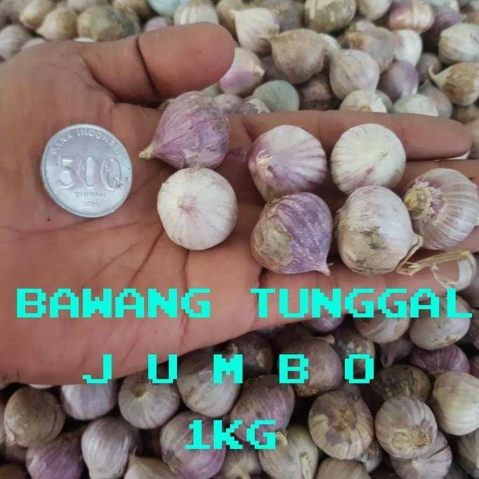 

Diskon! Bawang Putih Lanang Super Besar 500gr Obat Herbal Alami