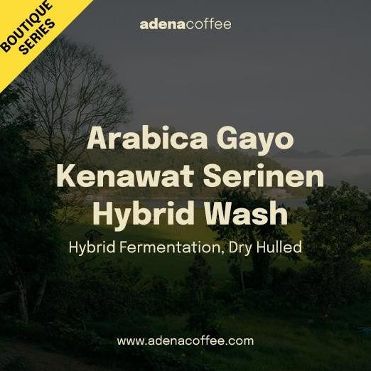 

Boutique Series - Green Bean Arabica Gayo Kenawat Serinen Hybrid Wash 1Kg