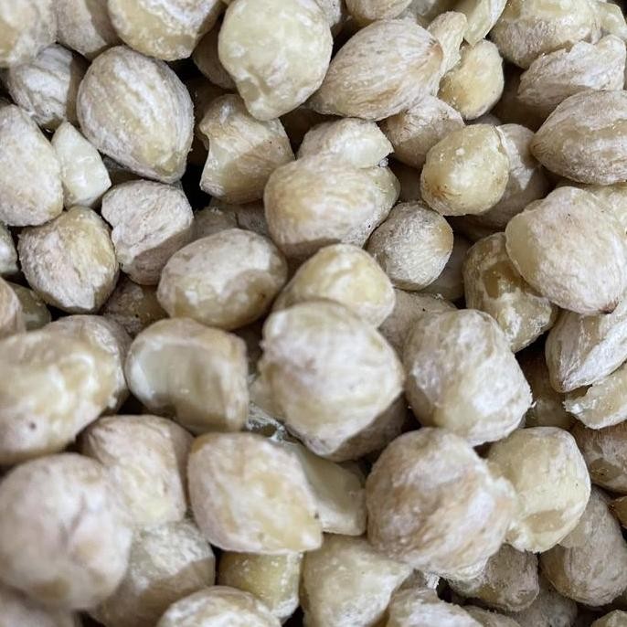 

Diskon! Kemiri Bulat Utuh 1 Kg - Kemiri Asli Untuk Masak