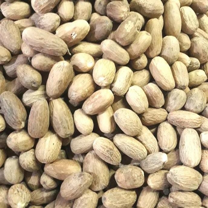 

Diskon! Biji Pala Nutmeg Panjang Lonjong 500Gr & 1Kg Original