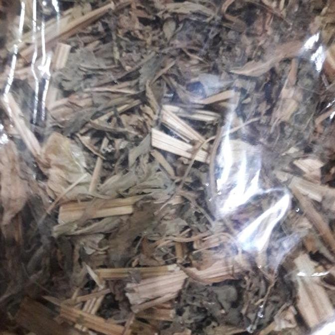 

Diskon! Daun Ciplukan Kering 1Kg / Daun Cecendet / Daun Herbal Rempah Tradisional
