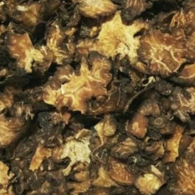 

Diskon! Rempah Geganti 500 Gram - Rempah Ganti Bumbu Masakan Tradisional