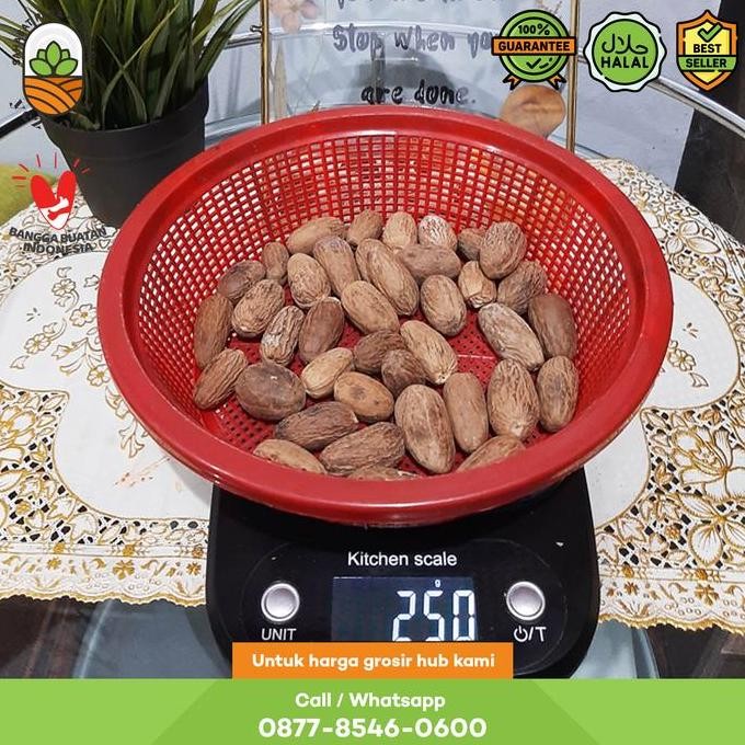 

Diskon! Biji Pala Utuh 250Gr | Nutmeg Whole Seed Rempah Masakan