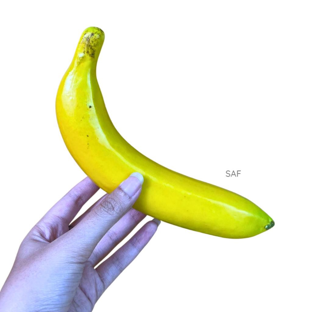 

Lp Saf Pisang Artificial - Fake Banana - Buah Plastik - Props Fotografi