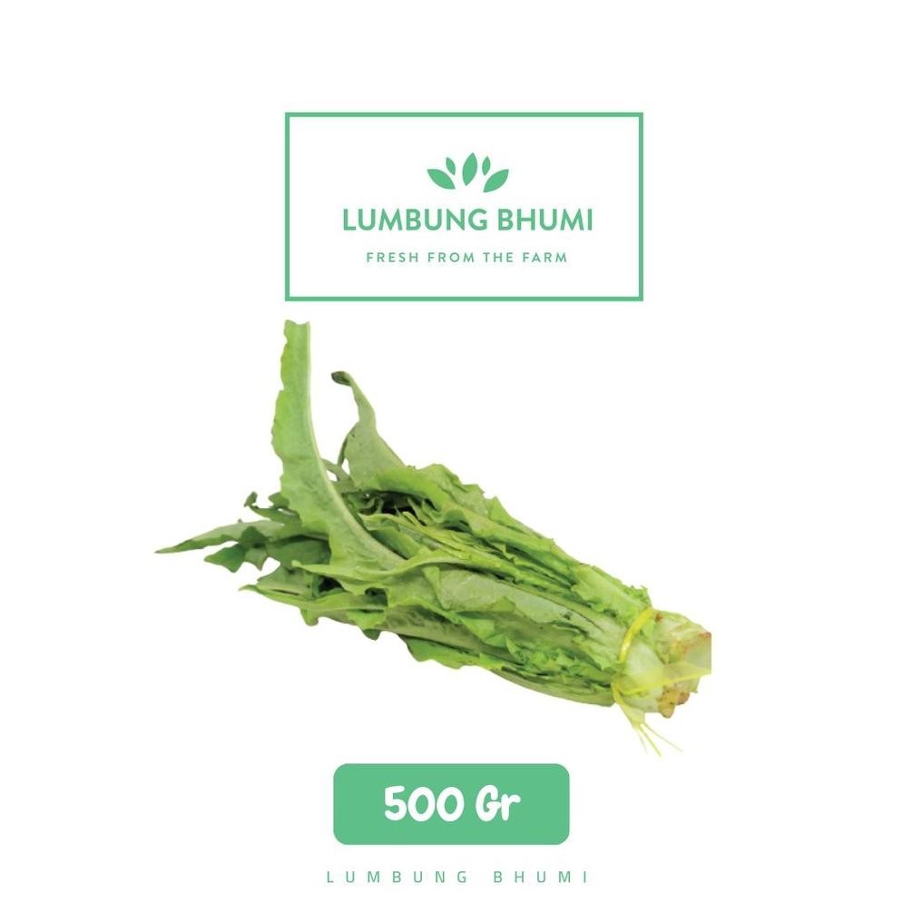 

Lumbung Bhumi - Siomak 500 Gr ( Sayur Curah ) aSt