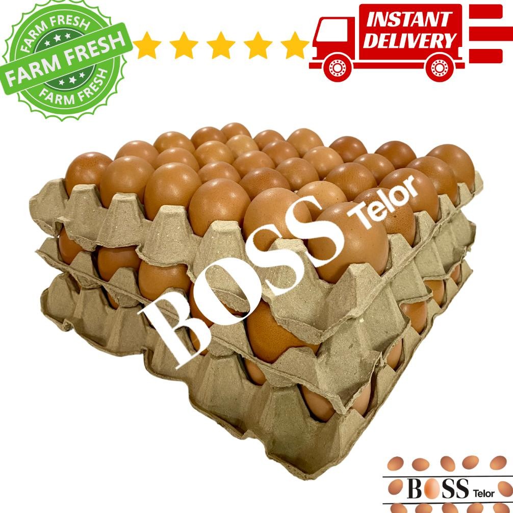 

TELUR AYAM NEGRI 90 butir ( +/- 5.6 kg) FRESH aSt