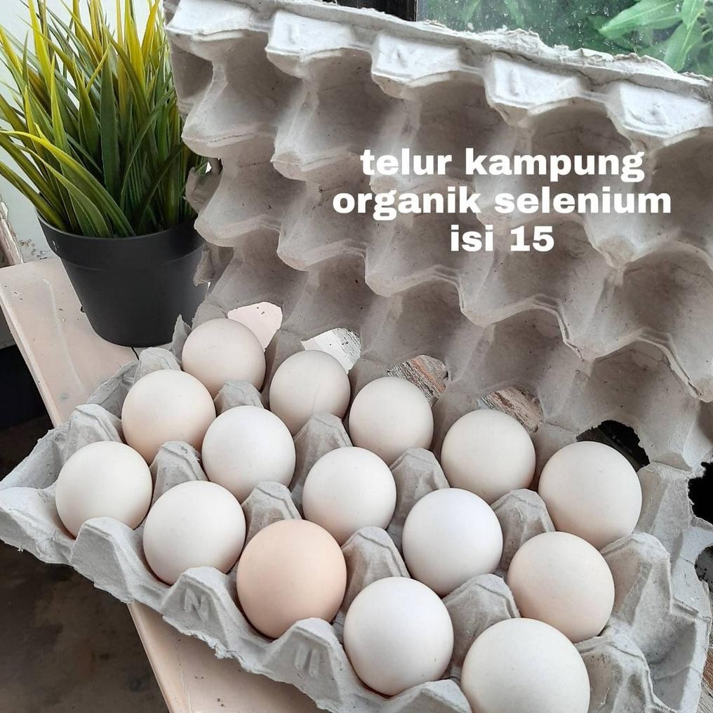 

Telur Ayam Kampung Organik Selenium Isi 15 Butir aSt