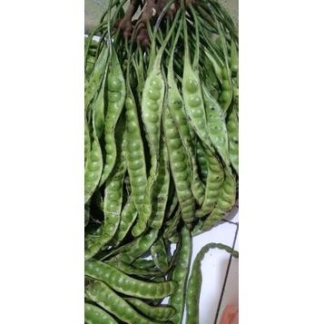 

PETE SUPER SEGAR FRES 10 BONUS 1 aSt