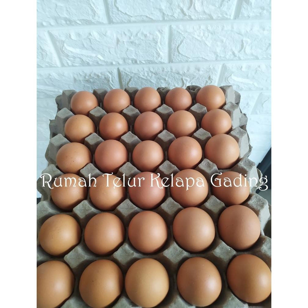 

Telur Ayam Negeri 30 Butir aSt