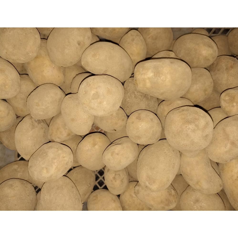 

Kentang Dieng Ukuran Kecil 1 kg aSt