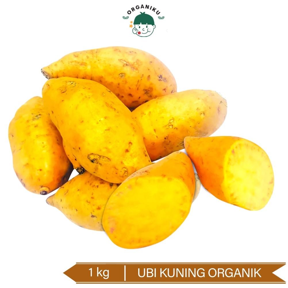 

Ubi Kuning Organik / Organic Sweet Honey Potato 1kg aSt