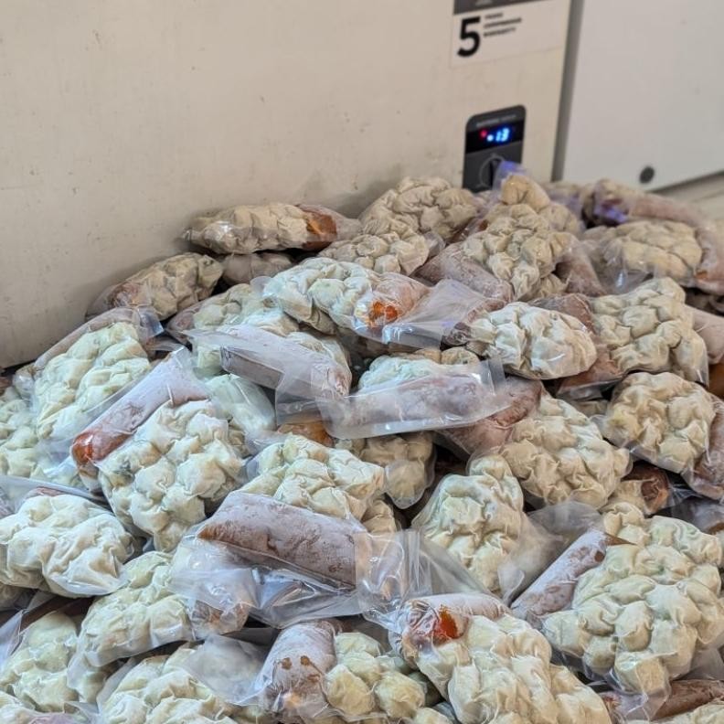 

Frozen Siomay 100 Pcs (5 Pack) || PAKET SELLER aSt