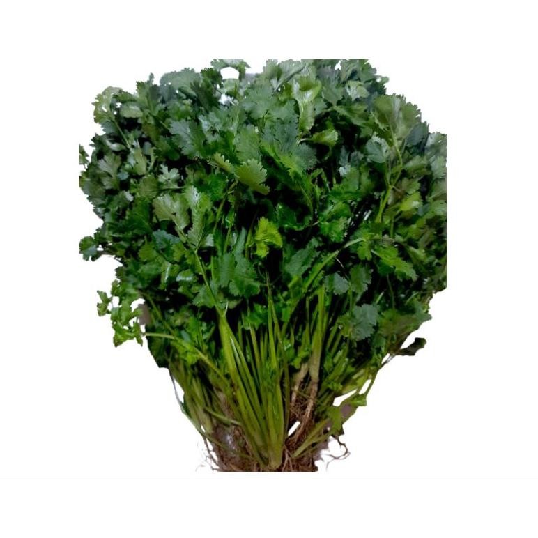 

Daun Ketumbar/Wansui 500 Gram aSt