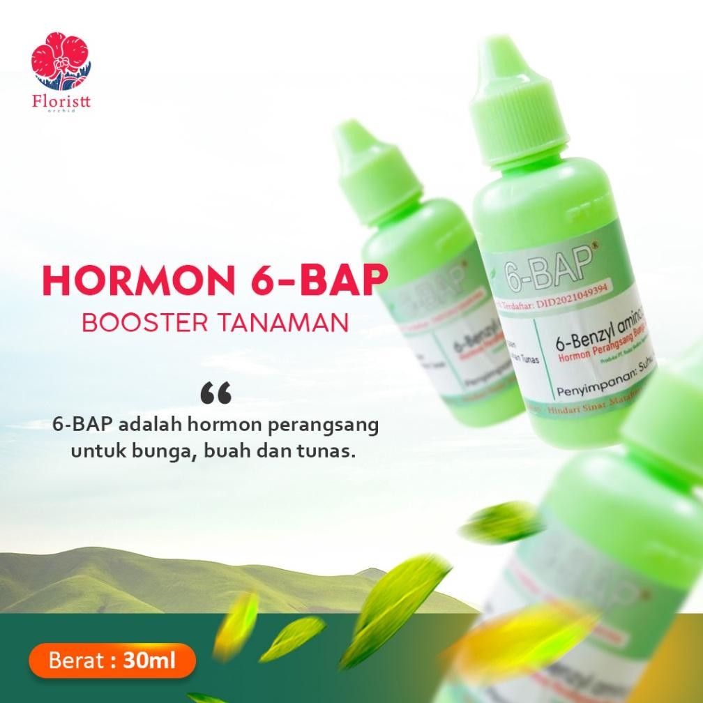 Jkm_12 Pupuk Hormon Pertumbuhan 6-Bap Original Ter-46