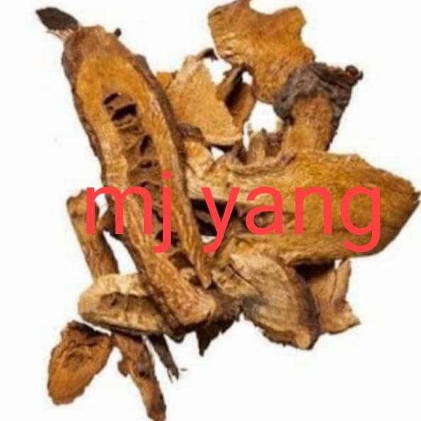 

Promo 500Gram Hu Zhang Gen Rhizoma Polygoni Cuspidati Japanese Knotweed