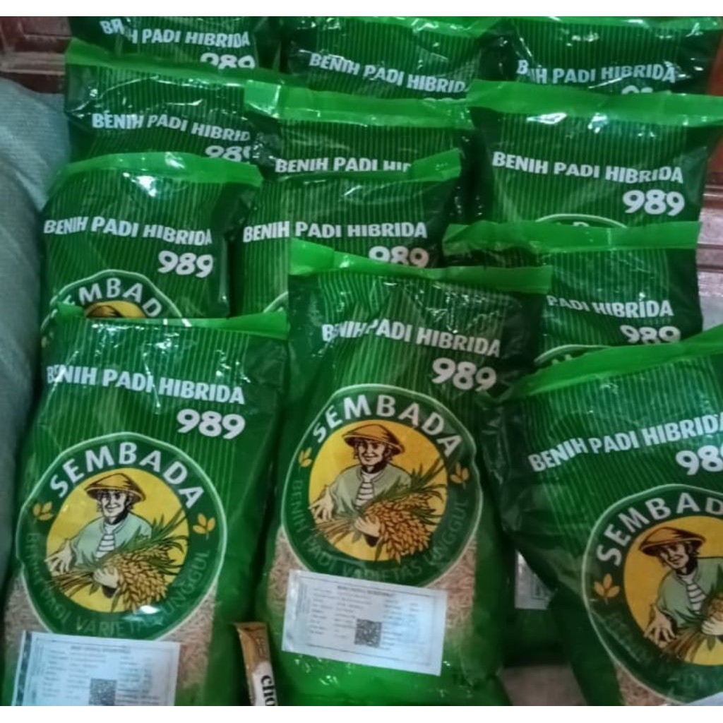 Padi hibrida Sembada 989