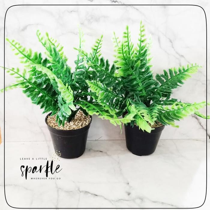 LFM BUNGA PLASTIK/RUMPUT PAKIS/RUMPUT PALSU PLASTIK/POT BUNGA DEKORASI