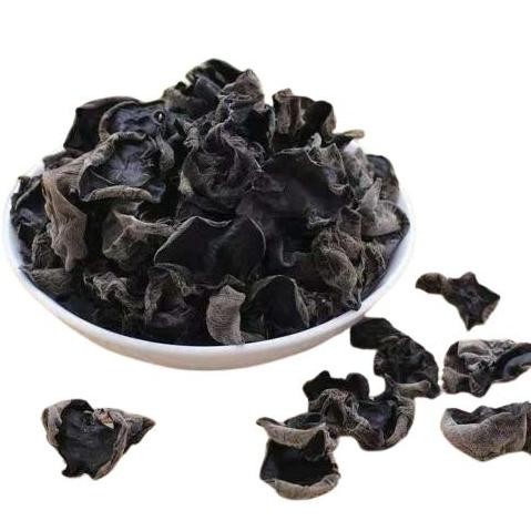

Jamur Kuping Hitam Premium 250Gr / Dried Black Fungus Kualitas Terbaik Harga Termurah