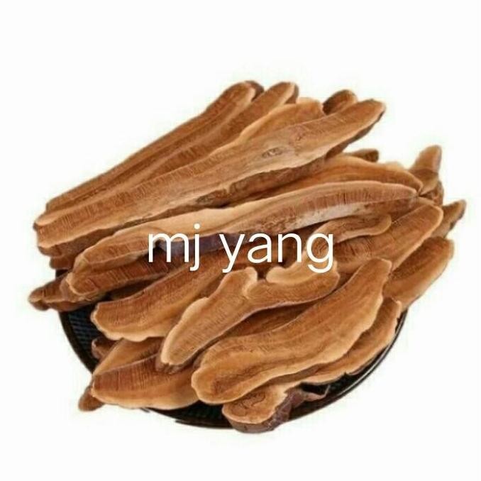 

Jamur Ling Zhi Iri 600Gram () / Ling Ce / Ganoderma Kualitas Terbaik Harga Termurah