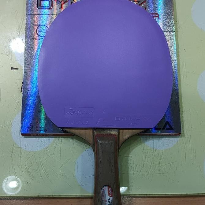 Joola Dynaryz AGR Violet