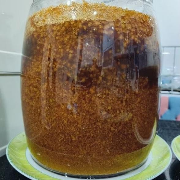 Bibit Teratai Salju Bibit Teratai Salju kualitas super herbal 500 g aSt