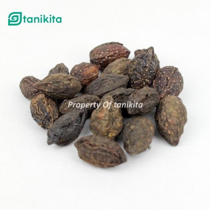 

(Allthebest) Biji Jokeling Kering 1kg - Biji Mojokeling/Majakeling/Jo Keling