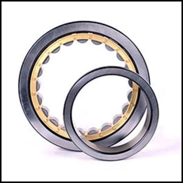 NF 309 Cylindrical Roller Bearing NF309