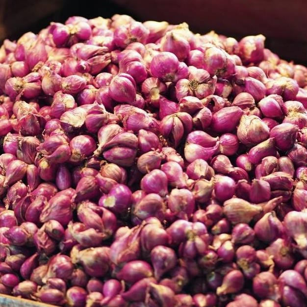 

Terlaris Bawang Merah Super 500 gr ,,