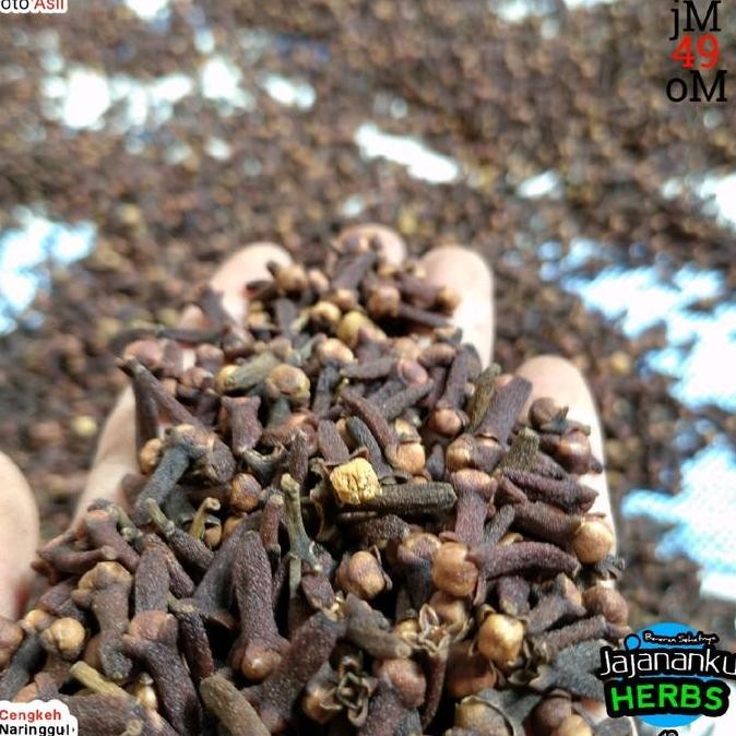 

Cengkeh 500G Bumbu Masak Rempah Berkualitas Pilihan Terlaris